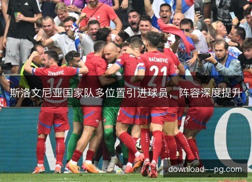 斯洛文尼亚国家队多位置引进球员，阵容深度提升